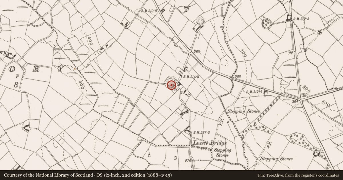 Ordnance Survey six-inch map, 2nd edition (1888–1915) covering the location of Ringfort - rath, Ardleny, County Cavan, with a pin at the register's coordinates