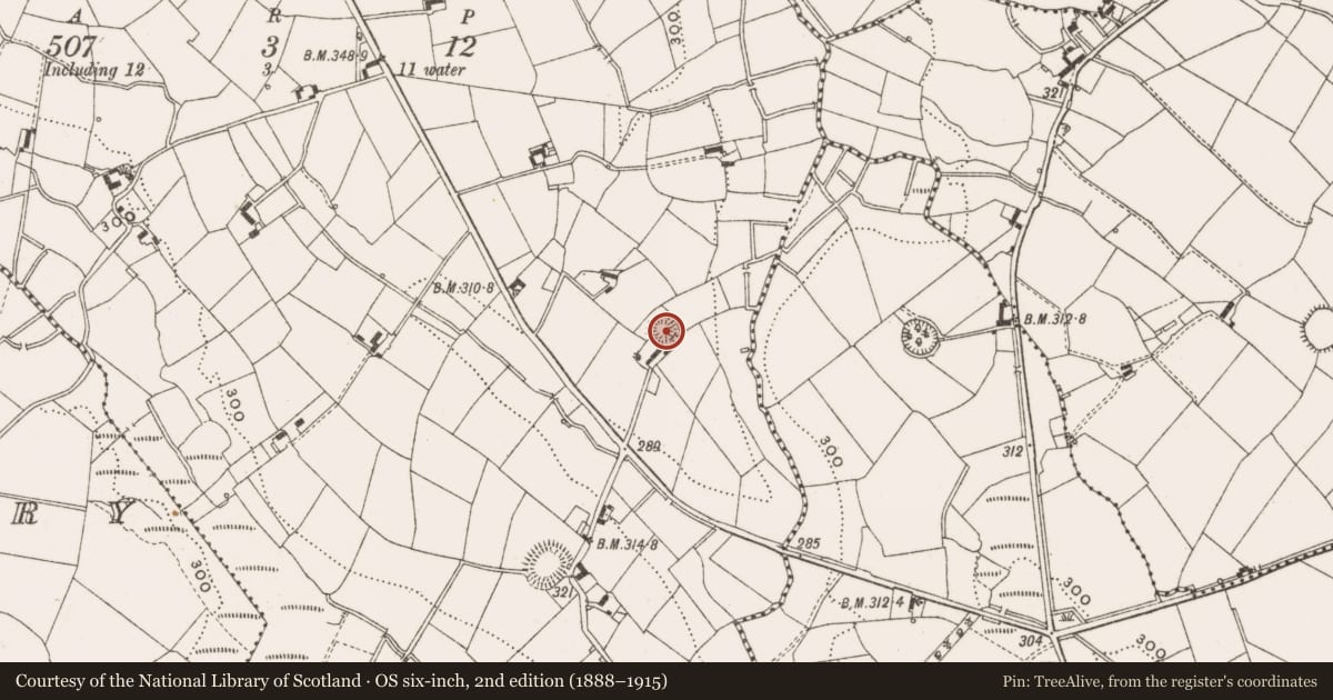 Ordnance Survey six-inch map, 2nd edition (1888–1915) covering the location of Ringfort - rath, Ardleny, County Cavan, with a pin at the register's coordinates