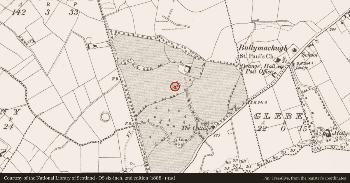 Ordnance Survey six-inch map, 2nd edition (1888–1915) covering the location of Designed landscape - tree-ring, Bellsgrove, County Cavan, with a pin at the register's coordinates