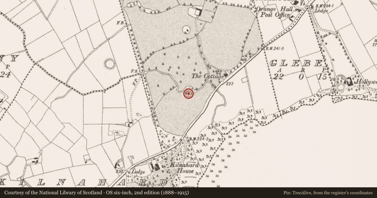 Ordnance Survey six-inch map, 2nd edition (1888–1915) covering the location of Designed landscape - tree-ring, Bellsgrove, County Cavan, with a pin at the register's coordinates