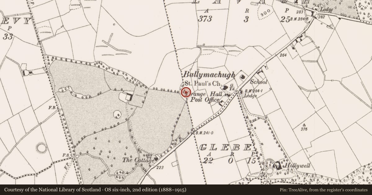 Ordnance Survey six-inch map, 2nd edition (1888–1915) covering the location of Ringfort - rath, Bellsgrove, Lavagh, County Cavan, with a pin at the register's coordinates