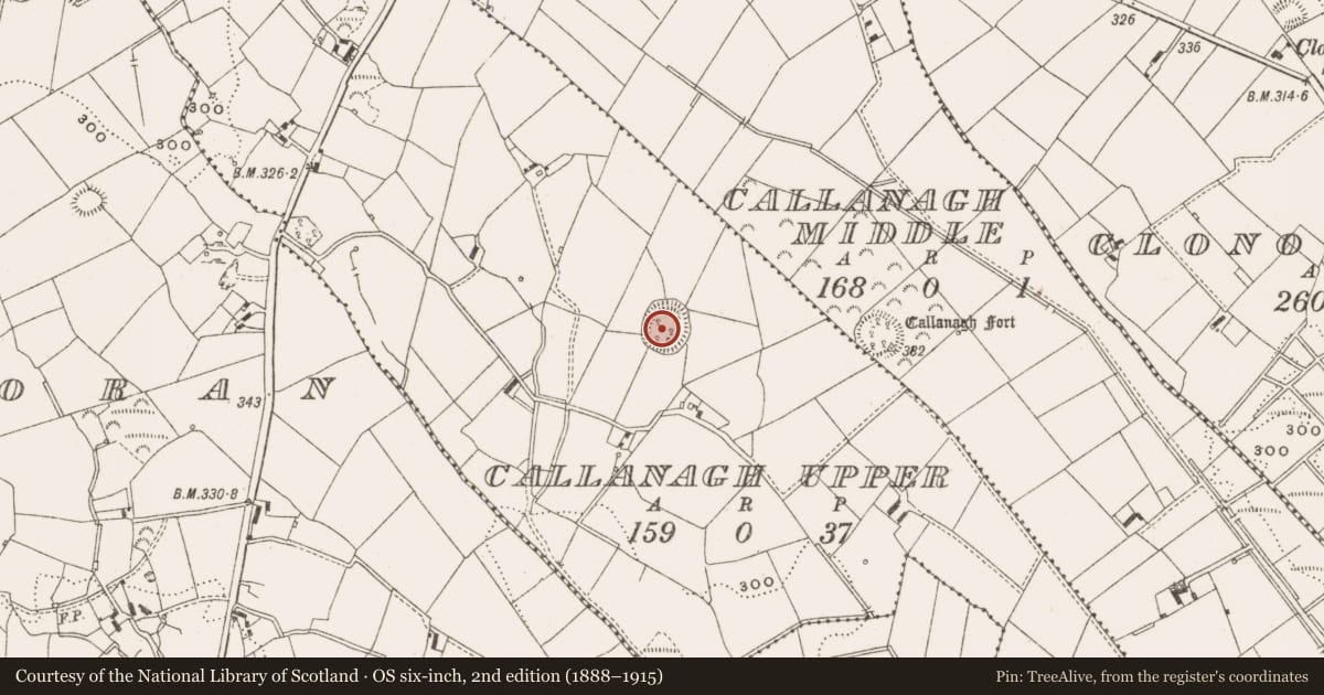 Ordnance Survey six-inch map, 2nd edition (1888–1915) covering the location of Ringfort - rath, Callanagh Upper, County Cavan, with a pin at the register's coordinates