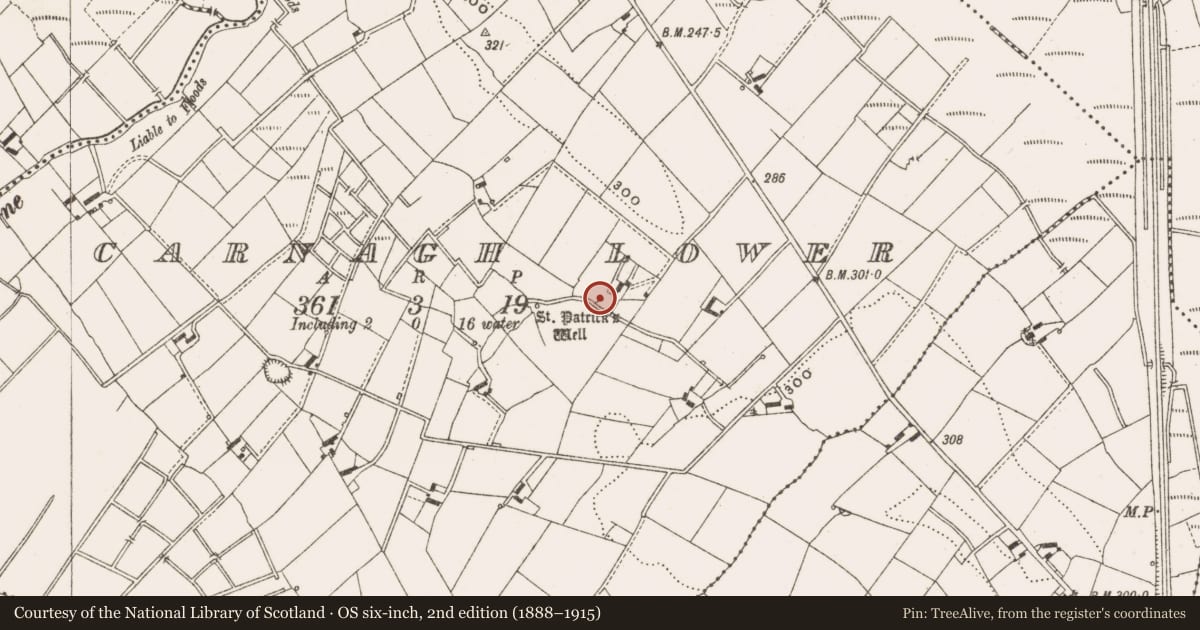 Ordnance Survey six-inch map, 2nd edition (1888–1915) covering the location of Bullaun stone, Carnagh Lower, County Cavan, with a pin at the register's coordinates