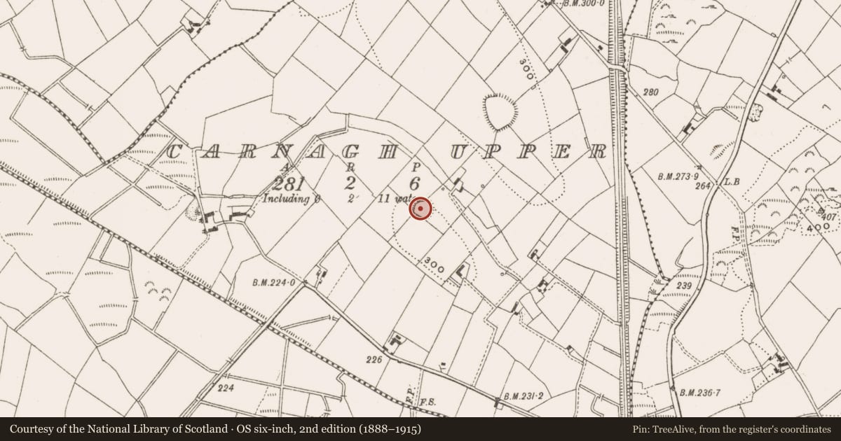 Ordnance Survey six-inch map, 2nd edition (1888–1915) covering the location of Ringfort - rath, Carnagh Upper, County Cavan, with a pin at the register's coordinates