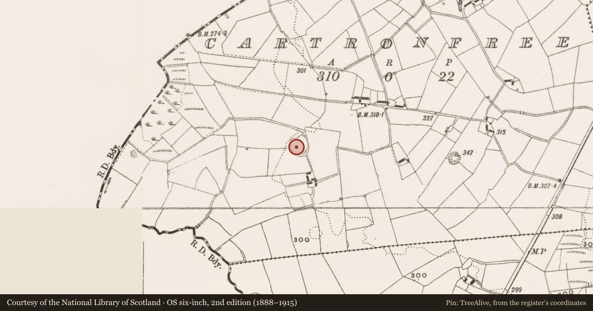 Ordnance Survey six-inch map, 2nd edition (1888–1915) covering the location of Ringfort - rath, Cartronfree, County Cavan, with a pin at the register's coordinates