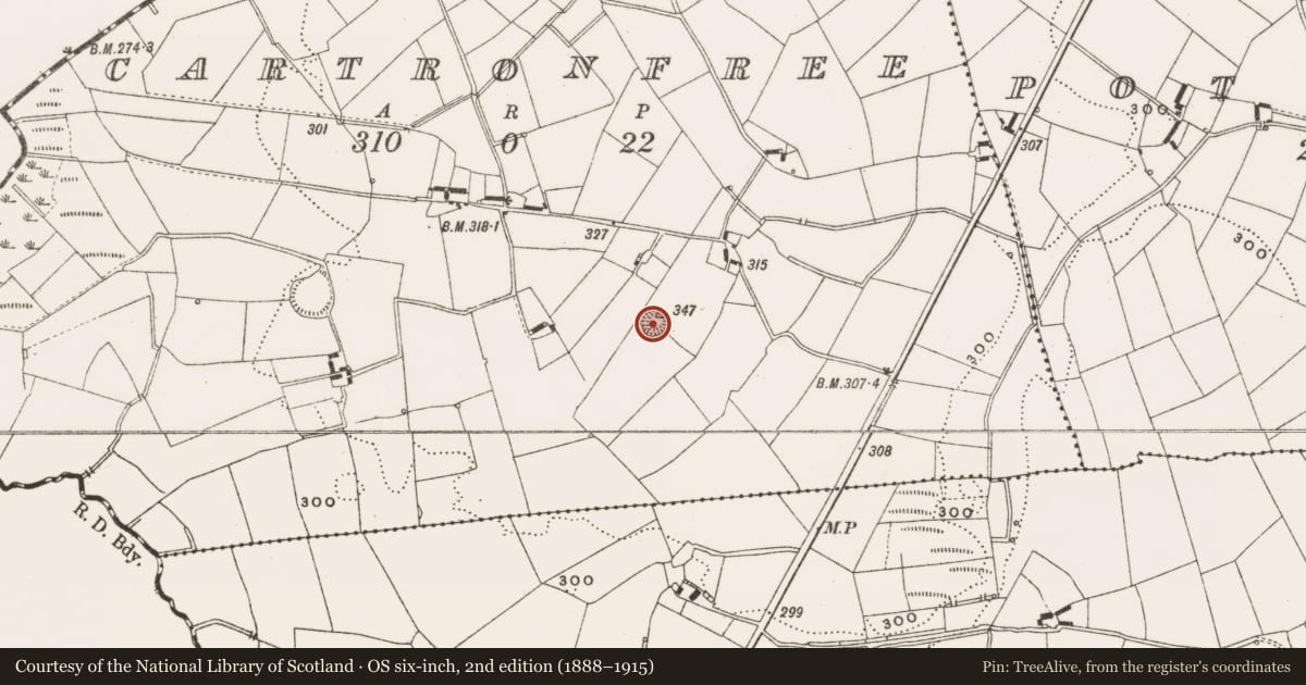 Ordnance Survey six-inch map, 2nd edition (1888–1915) covering the location of Ringfort - rath, Cartronfree, County Cavan, with a pin at the register's coordinates