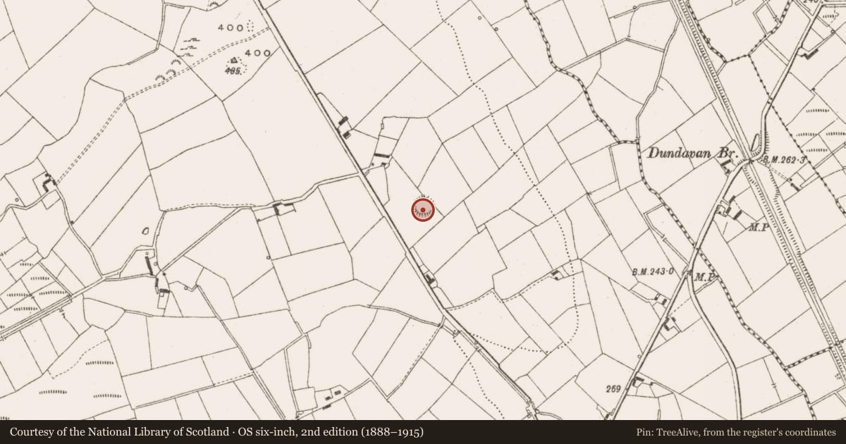 Ordnance Survey six-inch map, 2nd edition (1888–1915) covering the location of Ringfort - rath, Cloncovet, County Cavan, with a pin at the register's coordinates