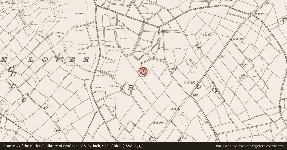 Ordnance Survey six-inch map, 2nd edition (1888–1915) covering the location of Ringfort - rath, Clonoose Big, County Cavan, with a pin at the register's coordinates