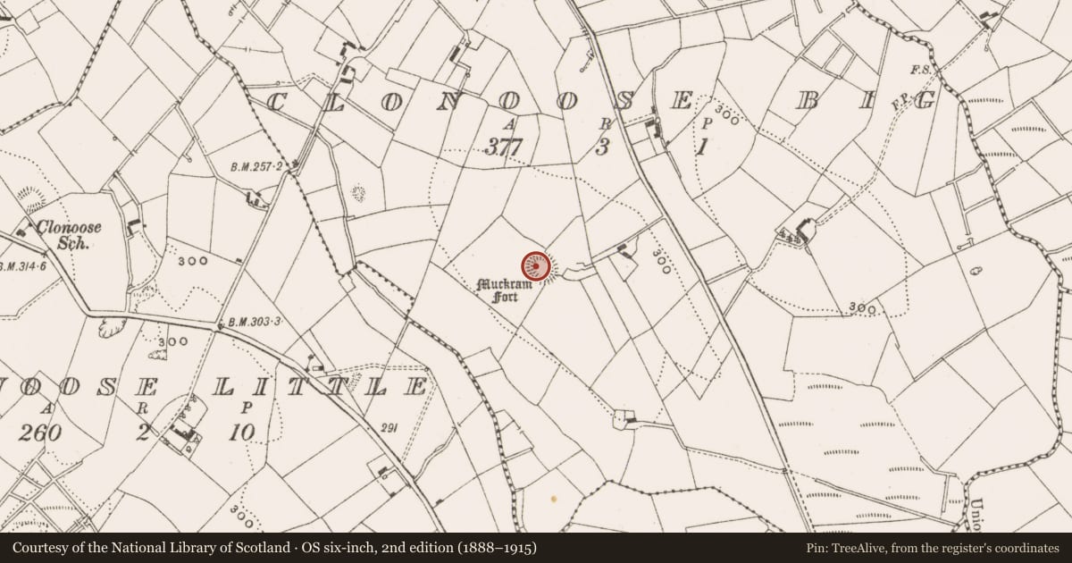 Ordnance Survey six-inch map, 2nd edition (1888–1915) covering the location of Ringfort - rath, Clonoose Big, County Cavan, with a pin at the register's coordinates