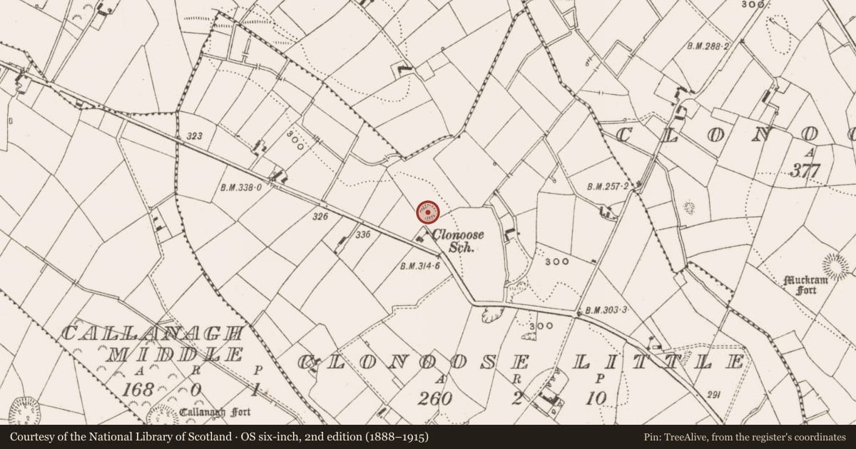 Ordnance Survey six-inch map, 2nd edition (1888–1915) covering the location of Ringfort - rath, Clonoose Little, County Cavan, with a pin at the register's coordinates