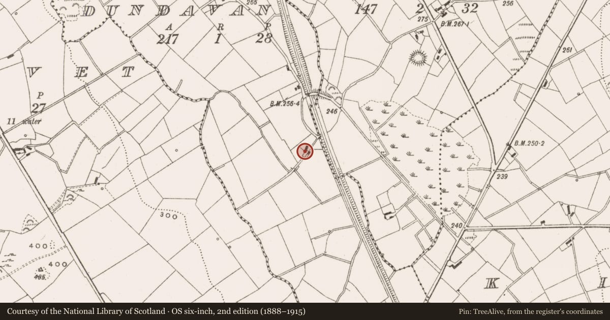 Ordnance Survey six-inch map, 2nd edition (1888–1915) covering the location of Castle - unclassified, Dundavan, County Cavan, with a pin at the register's coordinates