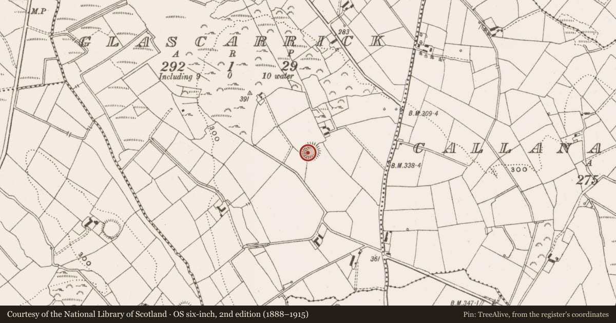 Ordnance Survey six-inch map, 2nd edition (1888–1915) covering the location of Ringfort - rath, Glascarrick, County Cavan, with a pin at the register's coordinates