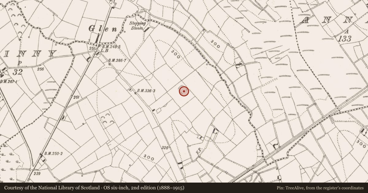 Ordnance Survey six-inch map, 2nd edition (1888–1915) covering the location of Ringfort - rath, Kilcogy, County Cavan, with a pin at the register's coordinates