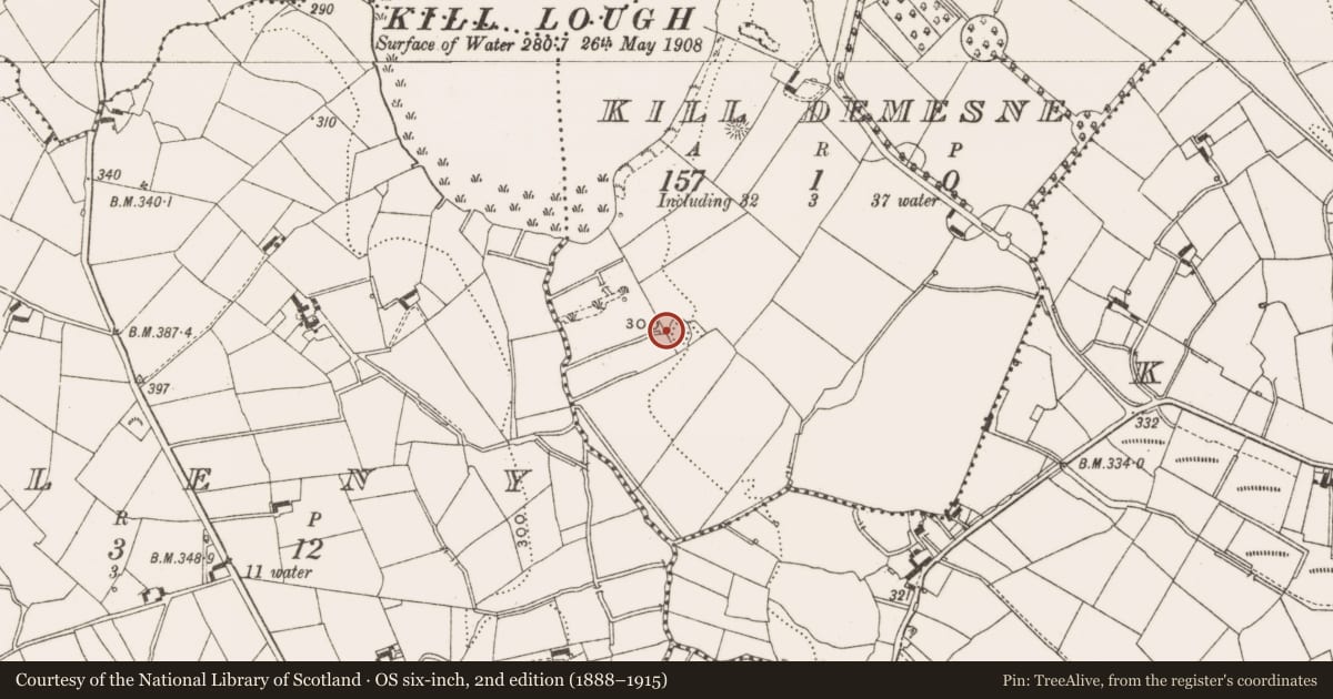 Ordnance Survey six-inch map, 2nd edition (1888–1915) covering the location of Designed landscape - tree-ring, Kill Demesne, County Cavan, with a pin at the register's coordinates