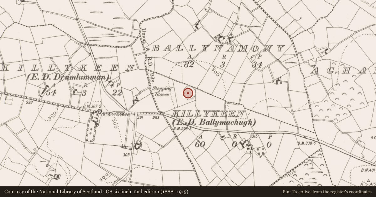 Ordnance Survey six-inch map, 2nd edition (1888–1915) covering the location of Ringfort - rath, Killykeen, County Cavan, with a pin at the register's coordinates