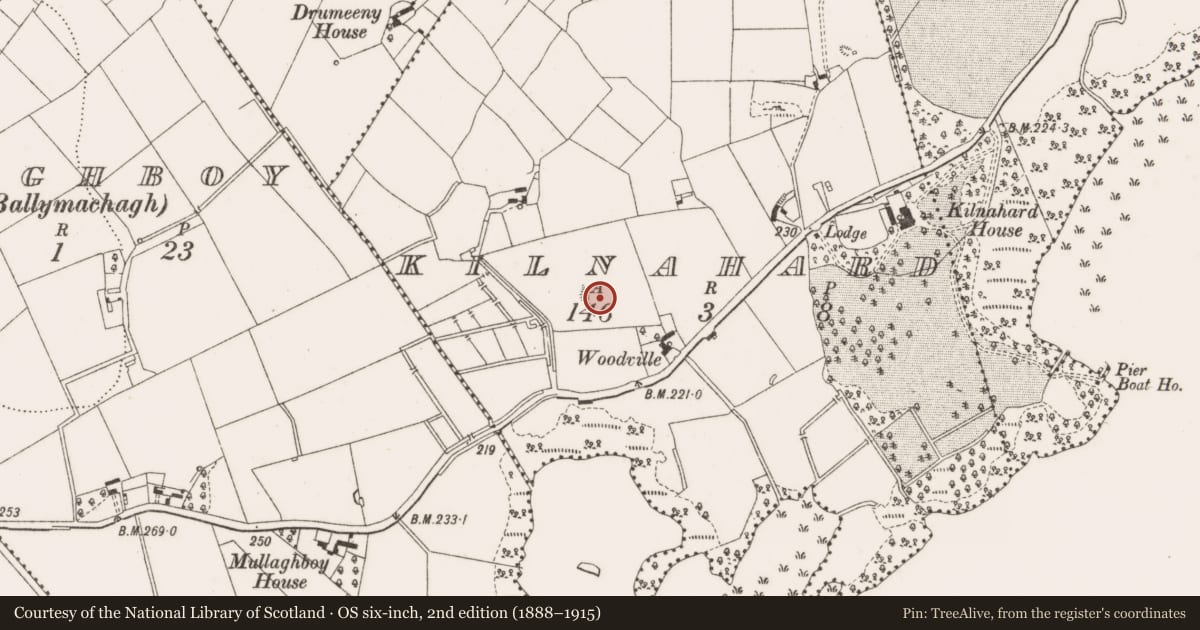 Ordnance Survey six-inch map, 2nd edition (1888–1915) covering the location of Ringfort - rath, Kilnahard, County Cavan, with a pin at the register's coordinates