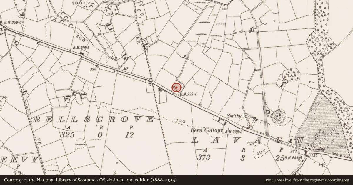Ordnance Survey six-inch map, 2nd edition (1888–1915) covering the location of Ringfort - rath, Lavagh, County Cavan, with a pin at the register's coordinates