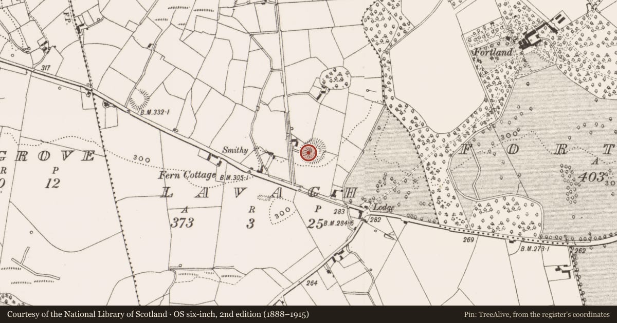 Ordnance Survey six-inch map, 2nd edition (1888–1915) covering the location of Ringfort - rath, Lavagh, County Cavan, with a pin at the register's coordinates