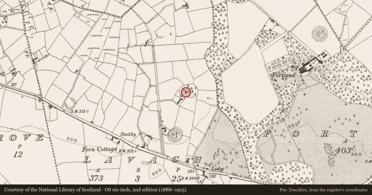 Ordnance Survey six-inch map, 2nd edition (1888–1915) covering the location of Designed landscape - tree-ring, Lavagh, County Cavan, with a pin at the register's coordinates