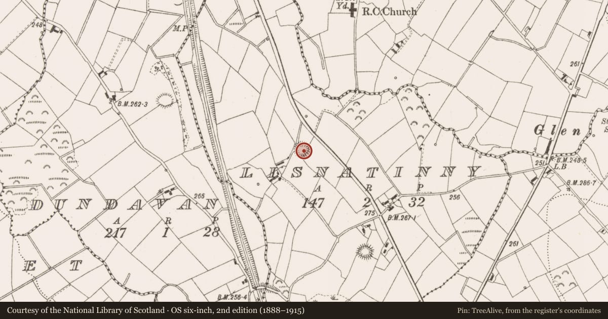 Ordnance Survey six-inch map, 2nd edition (1888–1915) covering the location of Ringfort - rath, Lisnatinny, County Cavan, with a pin at the register's coordinates