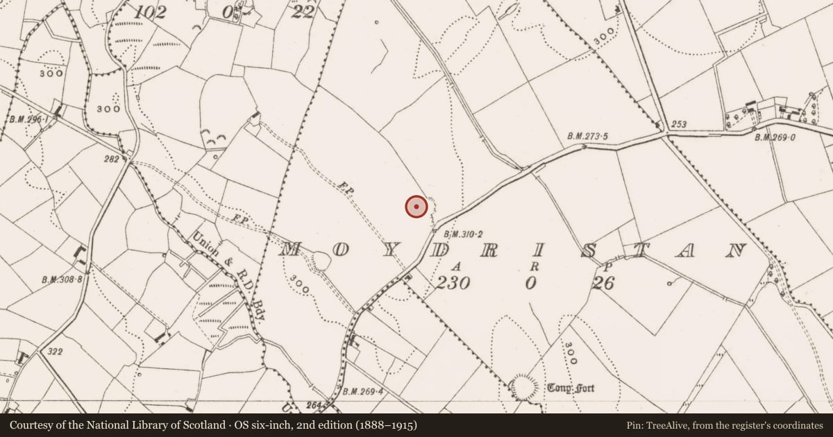 Ordnance Survey six-inch map, 2nd edition (1888–1915) covering the location of Enclosure, Moydristan, County Cavan, with a pin at the register's coordinates