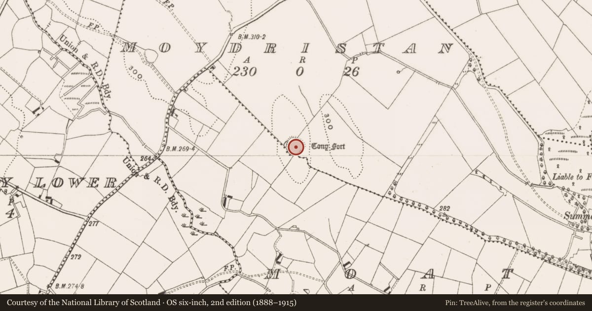 Ordnance Survey six-inch map, 2nd edition (1888–1915) covering the location of Ringfort - rath, Moydristan, County Cavan, with a pin at the register's coordinates