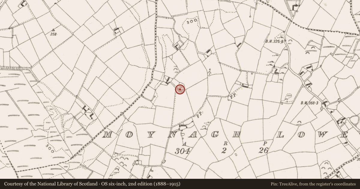 Ordnance Survey six-inch map, 2nd edition (1888–1915) covering the location of Ringfort - rath, Moynagh Lower, County Cavan, with a pin at the register's coordinates
