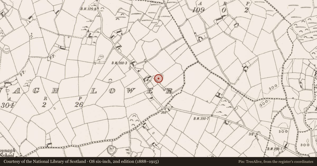 Ordnance Survey six-inch map, 2nd edition (1888–1915) covering the location of Ringfort - rath, Moynagh Lower, County Cavan, with a pin at the register's coordinates