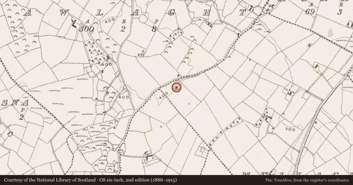Ordnance Survey six-inch map, 2nd edition (1888–1915) covering the location of Ringfort - rath, Mullaghboy, County Cavan, with a pin at the register's coordinates