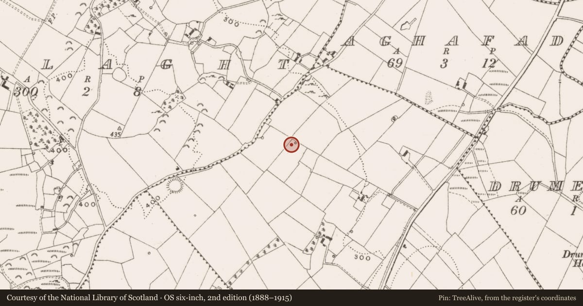 Ordnance Survey six-inch map, 2nd edition (1888–1915) covering the location of Designed landscape - tree-ring, Mullaghboy, County Cavan, with a pin at the register's coordinates