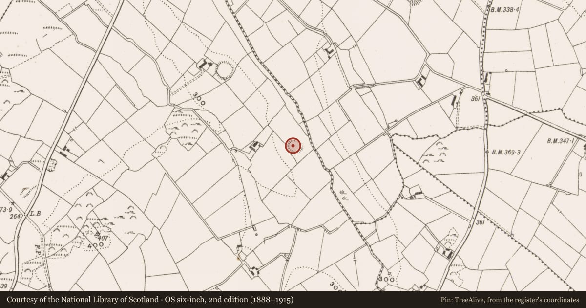 Ordnance Survey six-inch map, 2nd edition (1888–1915) covering the location of Souterrain, Mullaghoran, County Cavan, with a pin at the register's coordinates