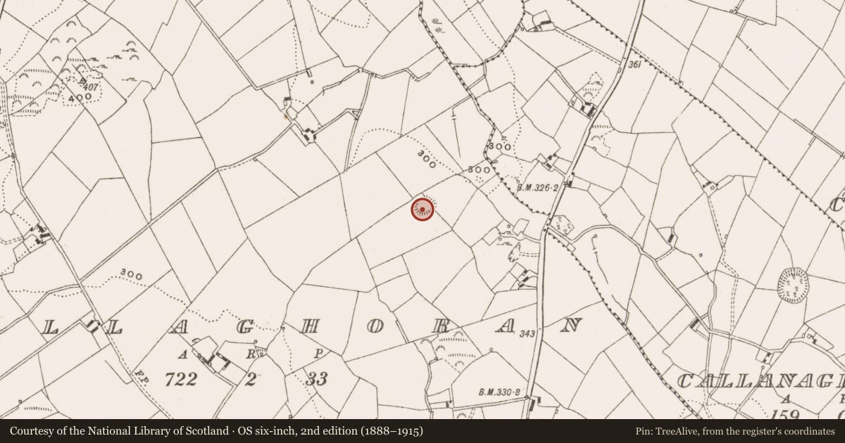 Ordnance Survey six-inch map, 2nd edition (1888–1915) covering the location of Ringfort - rath, Mullaghoran, County Cavan, with a pin at the register's coordinates