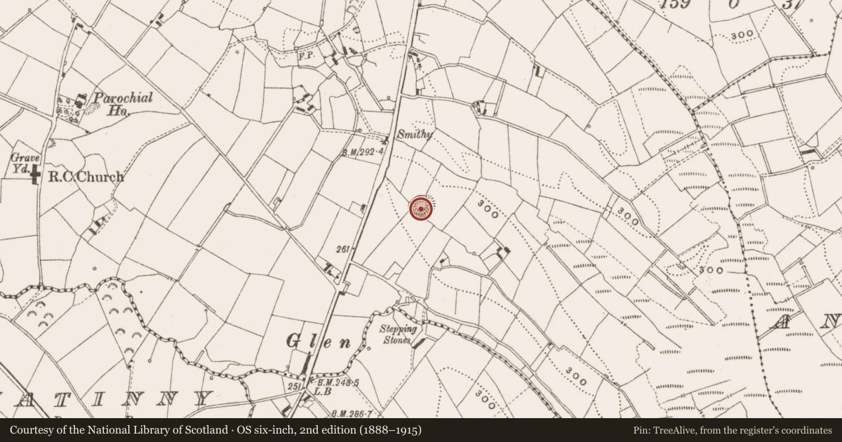 Ordnance Survey six-inch map, 2nd edition (1888–1915) covering the location of Ringfort - rath, Mullaghoran, County Cavan, with a pin at the register's coordinates