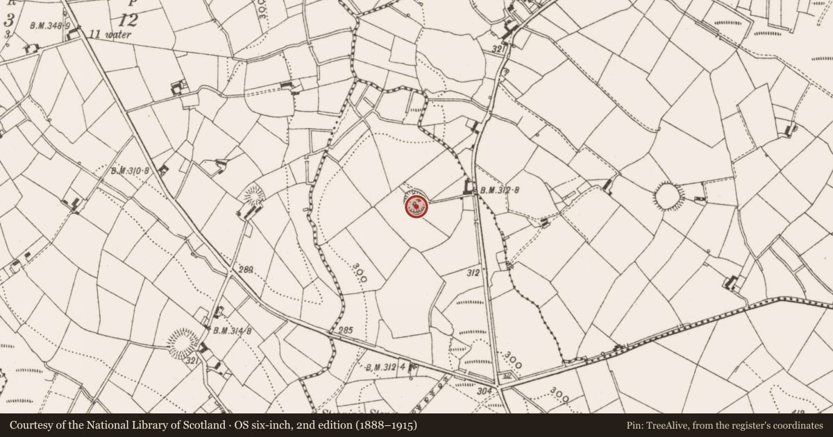 Ordnance Survey six-inch map, 2nd edition (1888–1915) covering the location of Ringfort - rath, Omard, County Cavan, with a pin at the register's coordinates