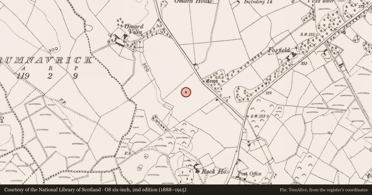 Ordnance Survey six-inch map, 2nd edition (1888–1915) covering the location of Ogham stone, Omard, County Cavan, with a pin at the register's coordinates