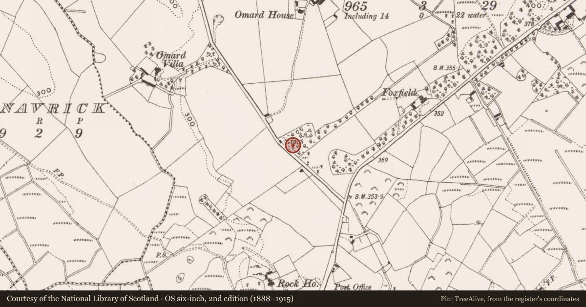 Ordnance Survey six-inch map, 2nd edition (1888–1915) covering the location of Cross - Wayside cross, Omard, County Cavan, with a pin at the register's coordinates
