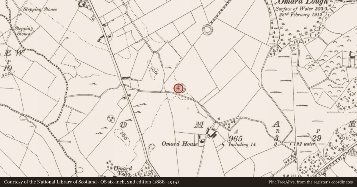 Ordnance Survey six-inch map, 2nd edition (1888–1915) covering the location of Designed landscape - tree-ring, Omard, County Cavan, with a pin at the register's coordinates