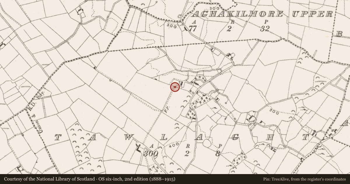 Ordnance Survey six-inch map, 2nd edition (1888–1915) covering the location of Ringfort - rath, Tawlaght, County Cavan, with a pin at the register's coordinates