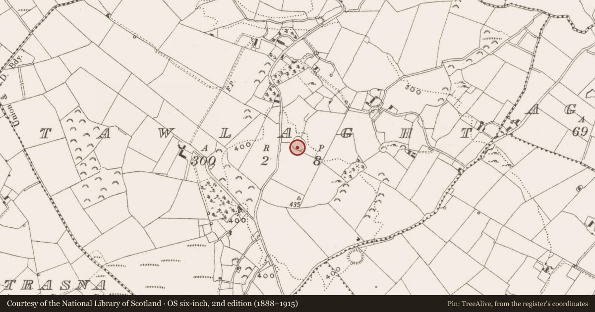 Ordnance Survey six-inch map, 2nd edition (1888–1915) covering the location of Ringfort - rath, Tawlaght, County Cavan, with a pin at the register's coordinates