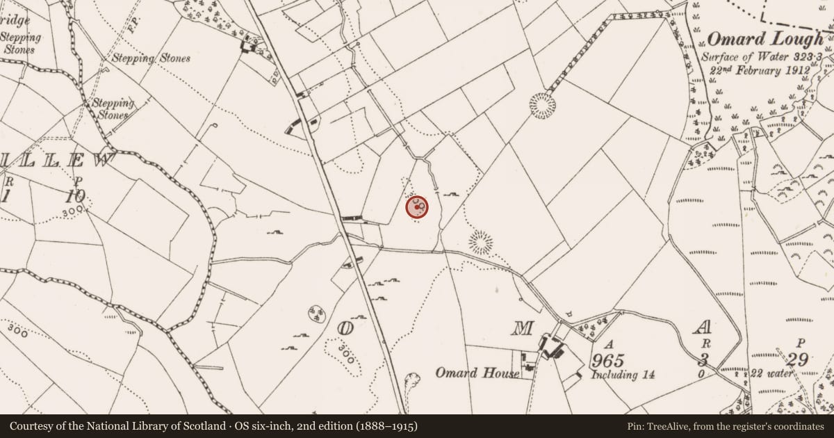 Ordnance Survey six-inch map, 2nd edition (1888–1915) covering the location of Ringfort - rath, Omard, County Cavan, with a pin at the register's coordinates