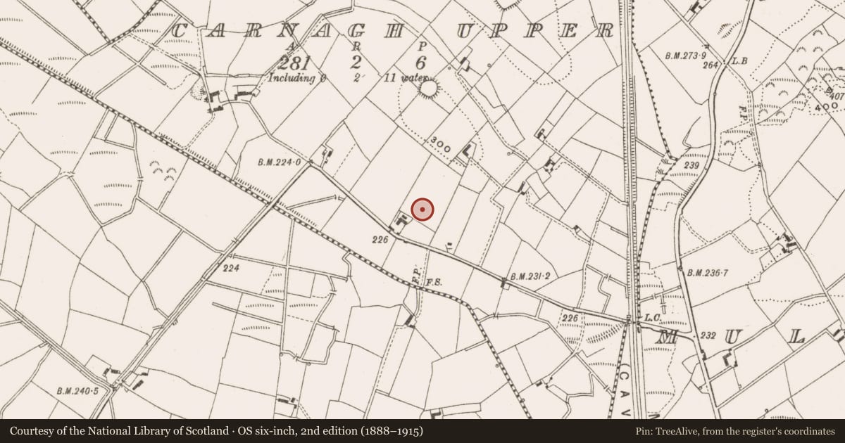 Ordnance Survey six-inch map, 2nd edition (1888–1915) covering the location of Enclosure, Carnagh Upper, County Cavan, with a pin at the register's coordinates