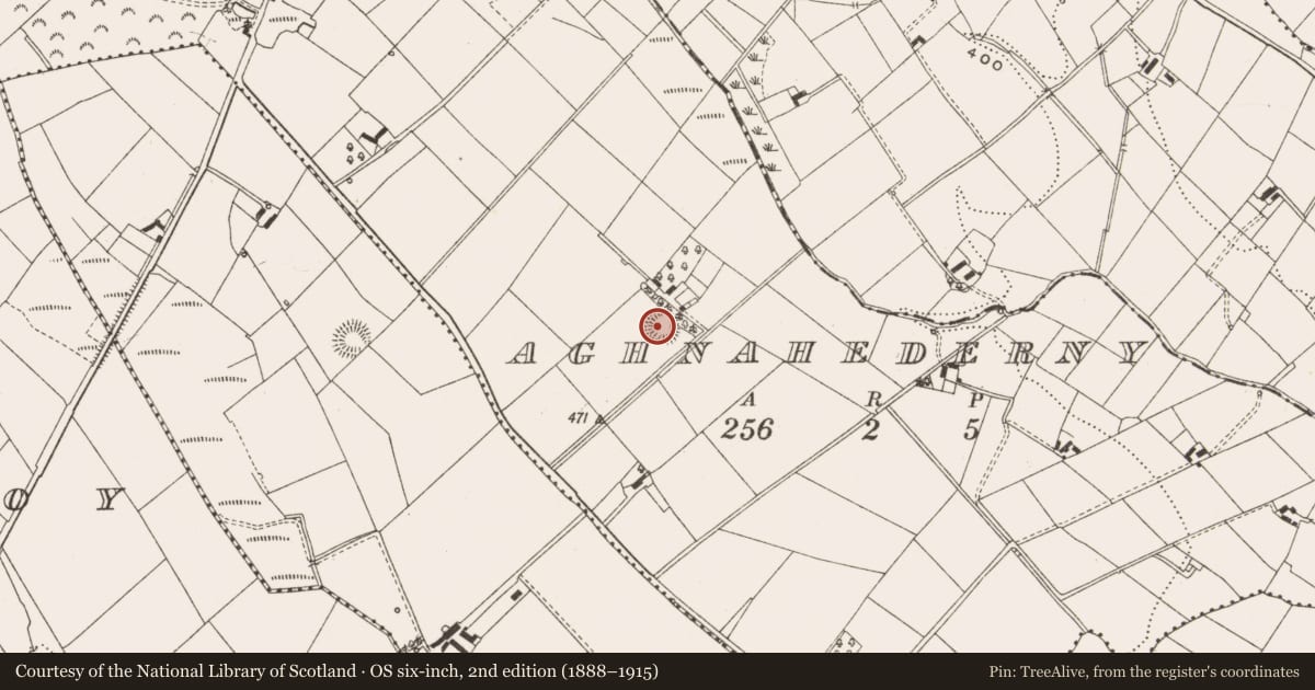 Ordnance Survey six-inch map, 2nd edition (1888–1915) covering the location of Ringfort - rath, Aghnahederny, County Cavan, with a pin at the register's coordinates
