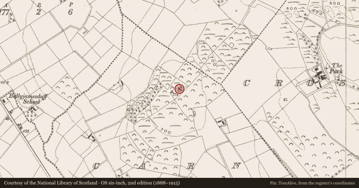 Ordnance Survey six-inch map, 2nd edition (1888–1915) covering the location of Enclosure, Carn, County Cavan, with a pin at the register's coordinates