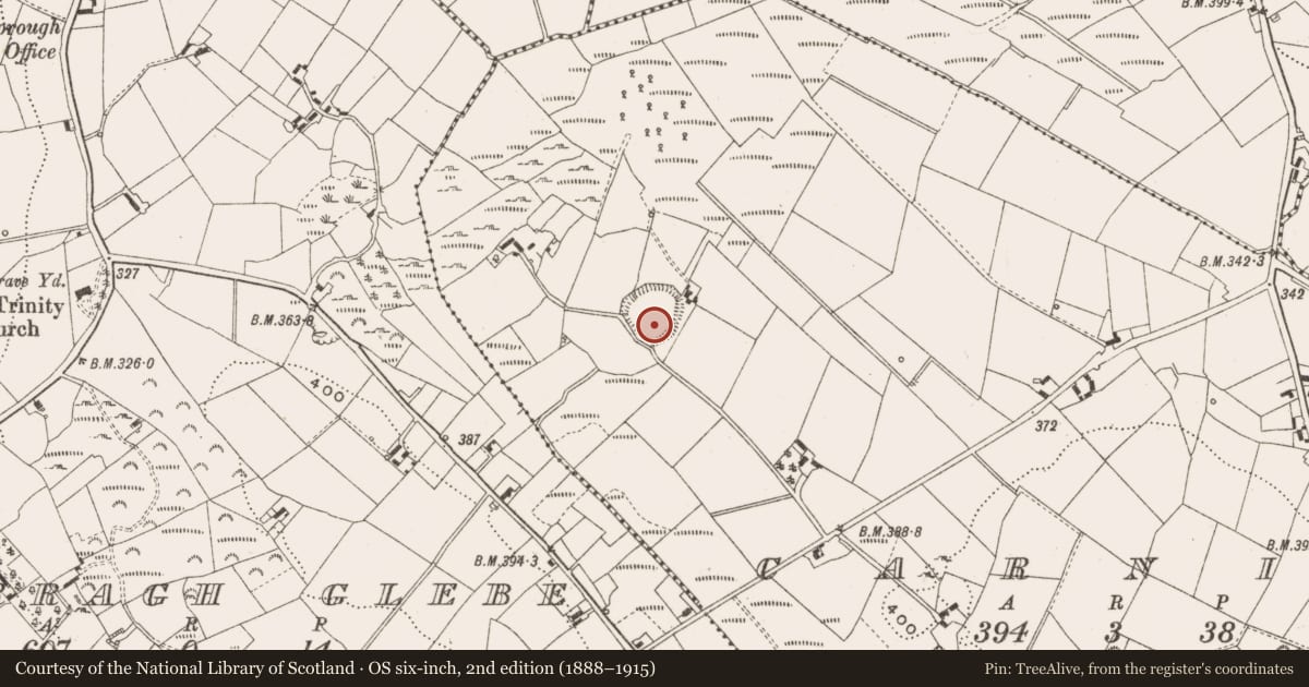 Ordnance Survey six-inch map, 2nd edition (1888–1915) covering the location of Ringfort - rath, Carnin, County Cavan, with a pin at the register's coordinates