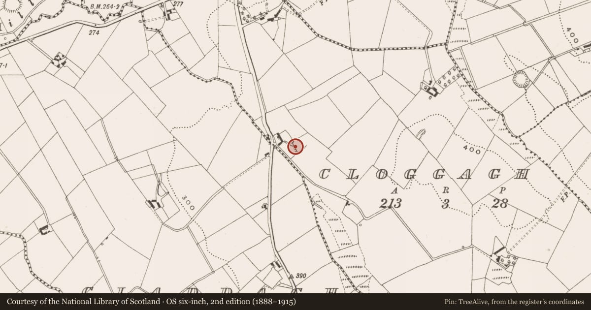 Ordnance Survey six-inch map, 2nd edition (1888–1915) covering the location of Ringfort - rath, Cloggagh, County Cavan, with a pin at the register's coordinates