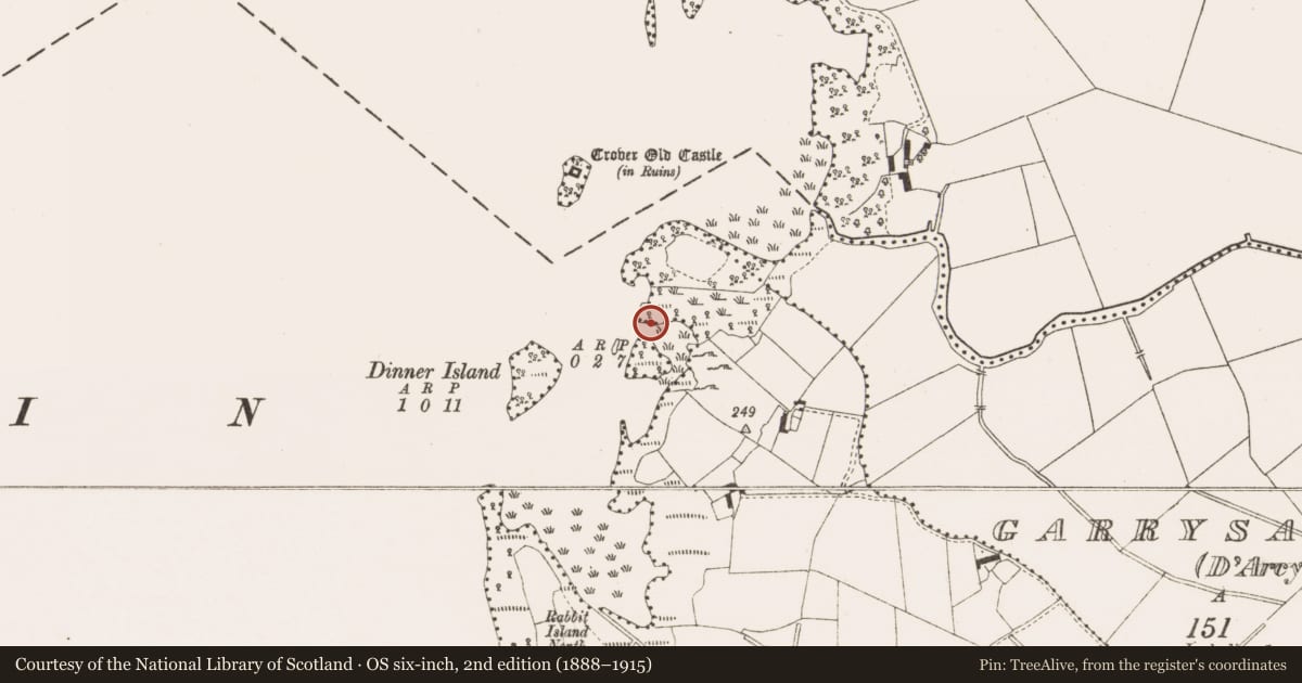 Ordnance Survey six-inch map, 2nd edition (1888–1915) covering the location of Crannog, Conleen, County Cavan, with a pin at the register's coordinates