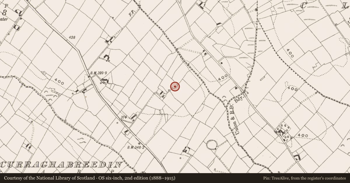 Ordnance Survey six-inch map, 2nd edition (1888–1915) covering the location of Ringfort - rath, Crosserlough, County Cavan, with a pin at the register's coordinates