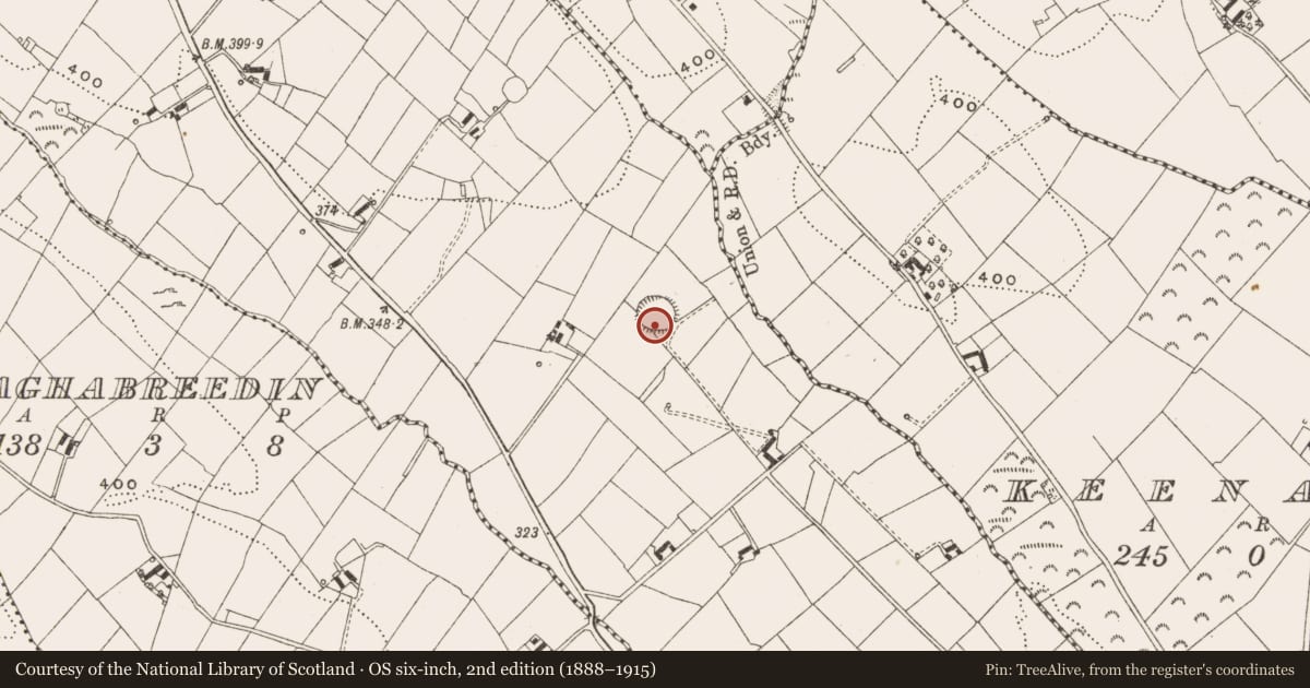 Ordnance Survey six-inch map, 2nd edition (1888–1915) covering the location of Ringfort - rath, Crosserlough, County Cavan, with a pin at the register's coordinates