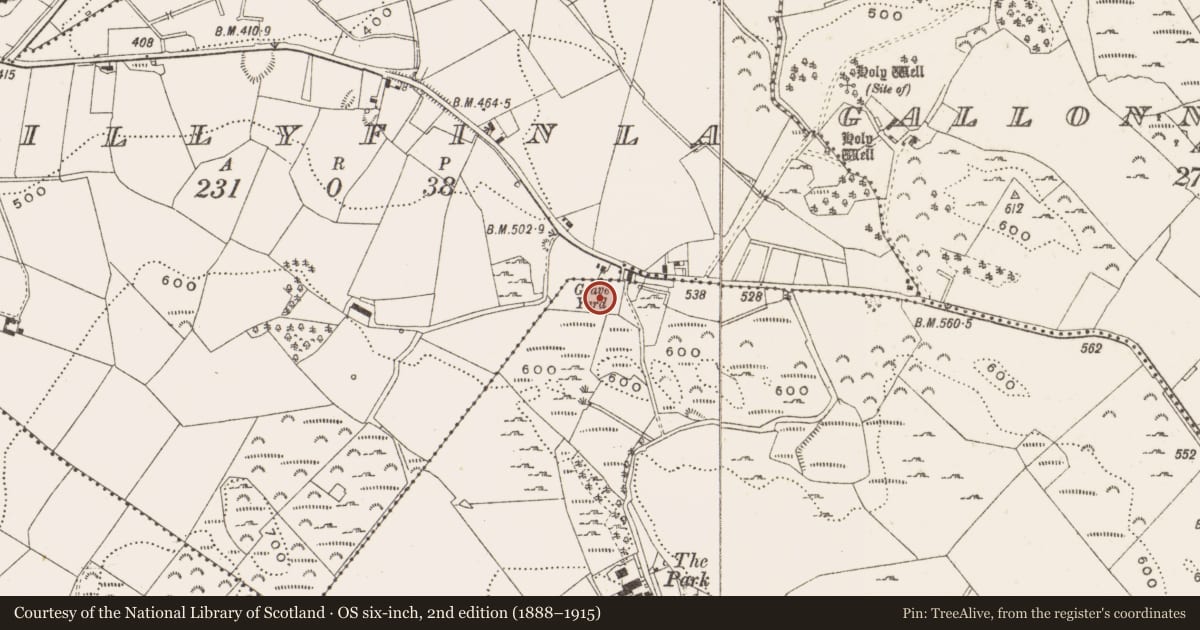 Ordnance Survey six-inch map, 2nd edition (1888–1915) covering the location of Burial ground, Crosserule, County Cavan, with a pin at the register's coordinates