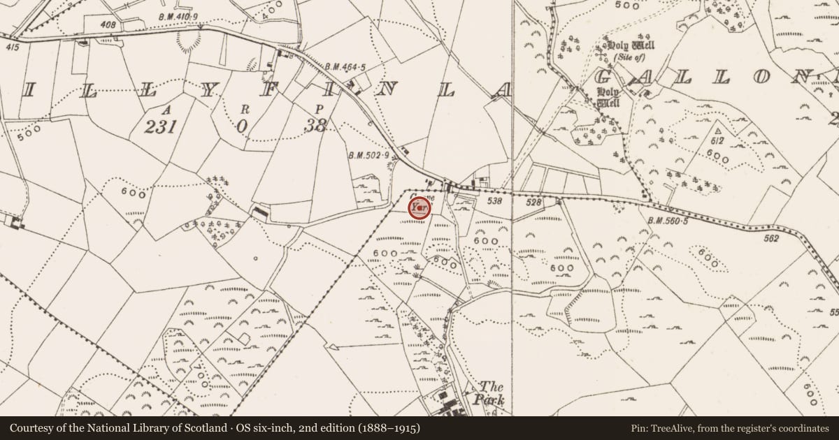Ordnance Survey six-inch map, 2nd edition (1888–1915) covering the location of Meeting-house, Crosserule, County Cavan, with a pin at the register's coordinates